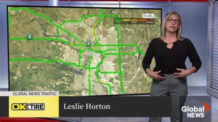 Where Is Leslie Horton From Global News? Cancer Update And Spouse Details