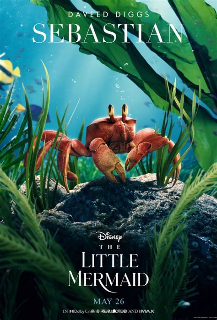 
Where is the new little Mermaid being filmed? 