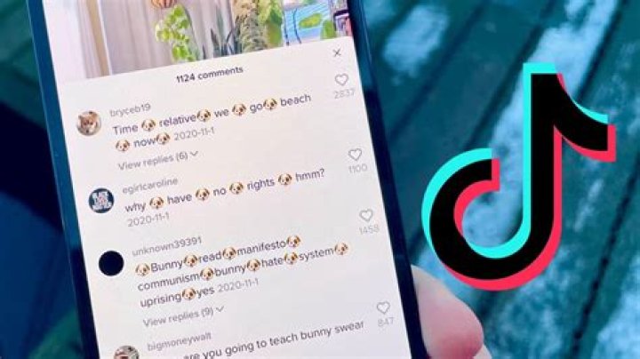 Who Are Gabbie Hanna’s Parents? Fans Worried For Her After Concerning TikTok Posts