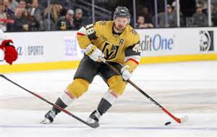 
Who are Tomas Hertls Parents? Tomas Hertl Biography, Parents Name, Nationality and More 