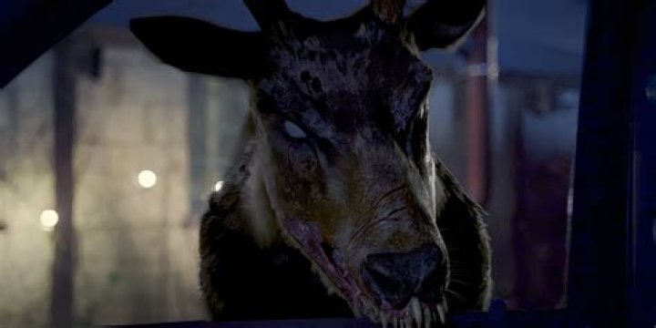 Who does Thumper fall in love with? – Celebrity