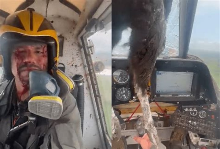 
Who is Ariel Valiente? Blood-soaked Ecuadorian pilot keeps calm after bird crashes into cockpit 