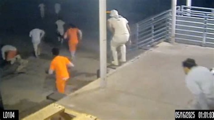 
Who Is Bobby Perkins And Where Is He Now? Details On The Cory Bodily Murderer- Is He Still In Jail? 