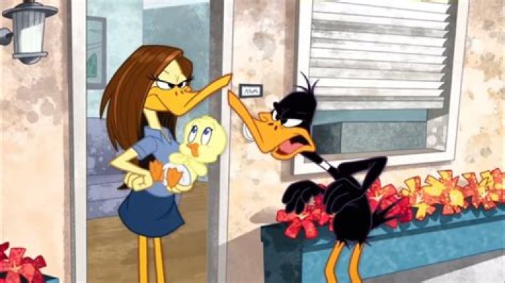 Who is Daffy Duck’s girlfriend? – Celebrity