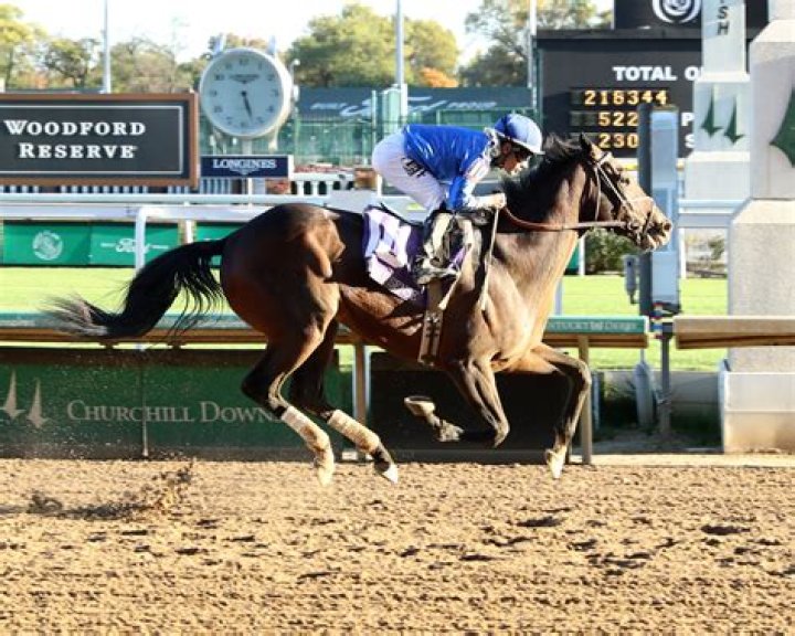 
Who Is Rich Strike’s Owner, Rick Dawson? Accepts Kentucky Derby 2022 Race Trophy 