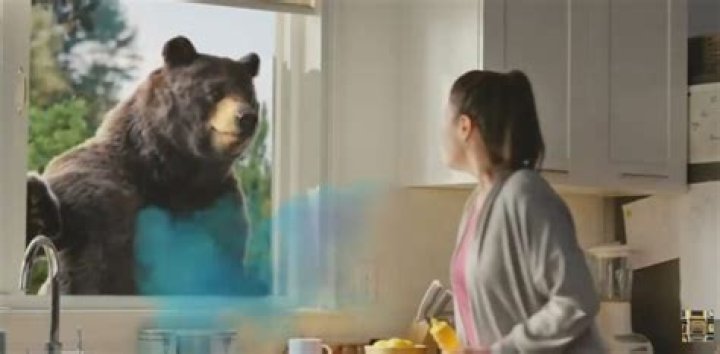 Who is the Robitussin bear voice? – Celebrity