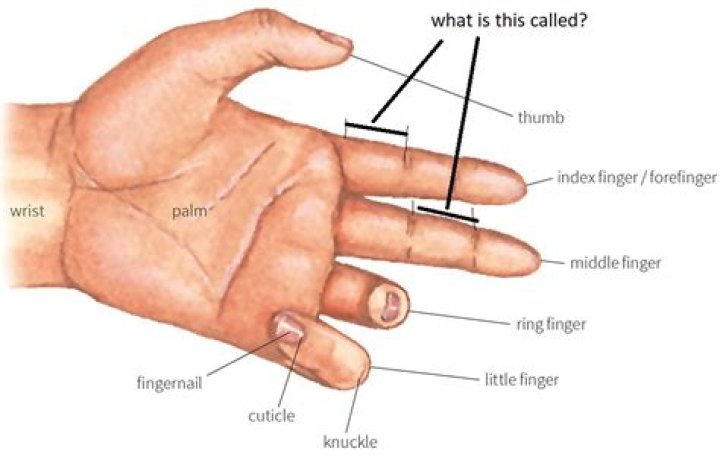 Why Do Females Paint Their Middle Finger A Different Color? – Celebrity