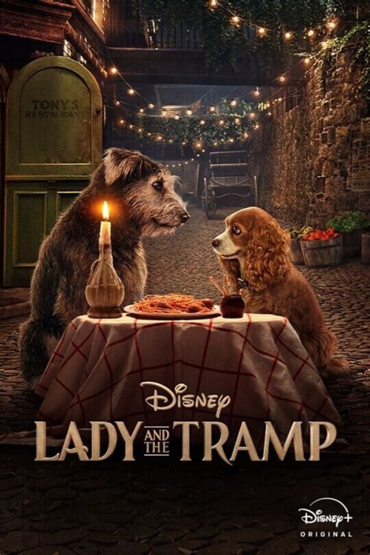 Why is Jock a girl in New Lady and the Tramp? – Celebrity